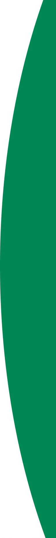 Green desktop divider